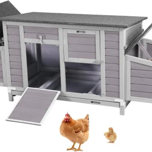 Chicken Coop with Two Nesting Boxes